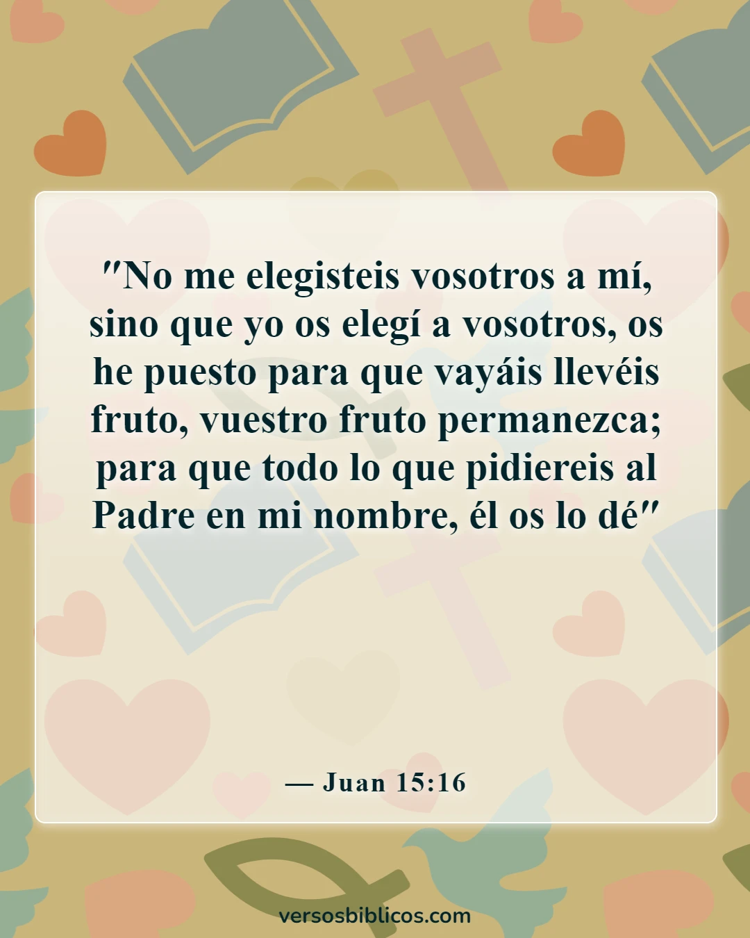 Versículos de la Biblia sobre lo valiosos que somos para Dios (Juan 15:16)