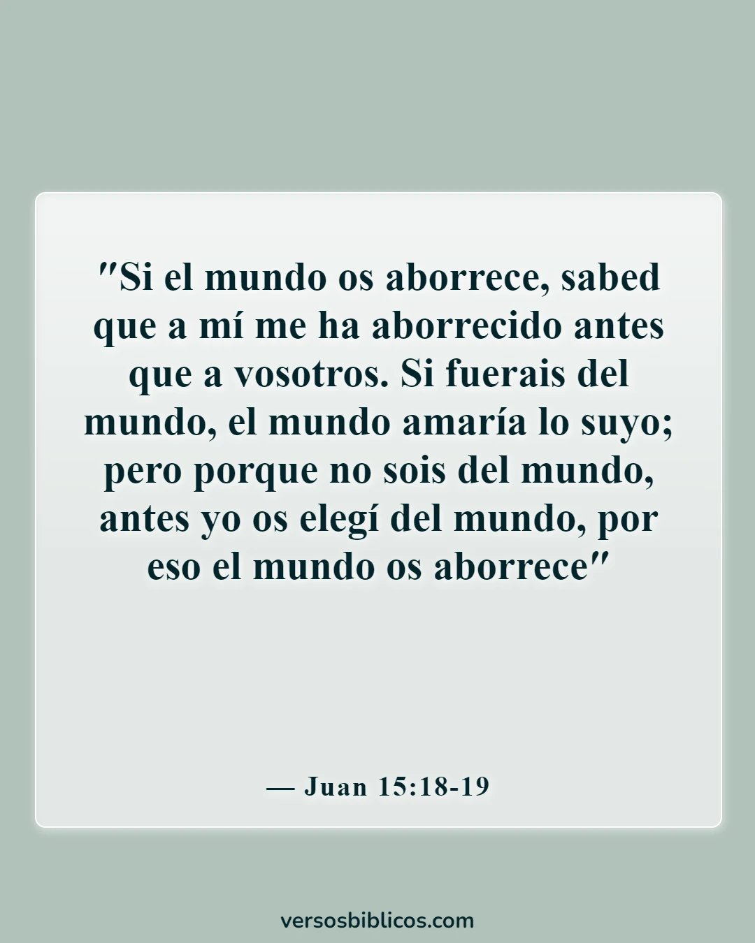Versículos de la Biblia sobre burlarse de Dios (Juan 15:18-19)