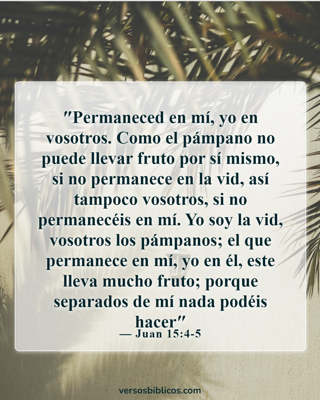 Versículos de la Biblia sobre poner a Dios primero en tu vida (Juan 15:4-5)