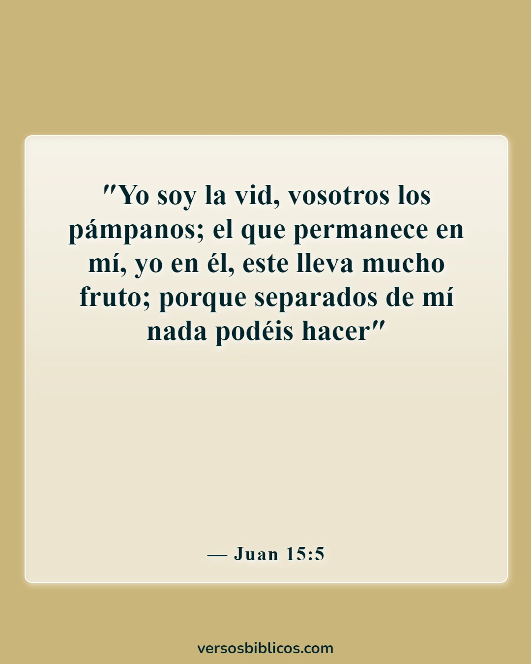 Versículos de la Biblia sobre reconocer a Dios en todos tus caminos (Juan 15:5)