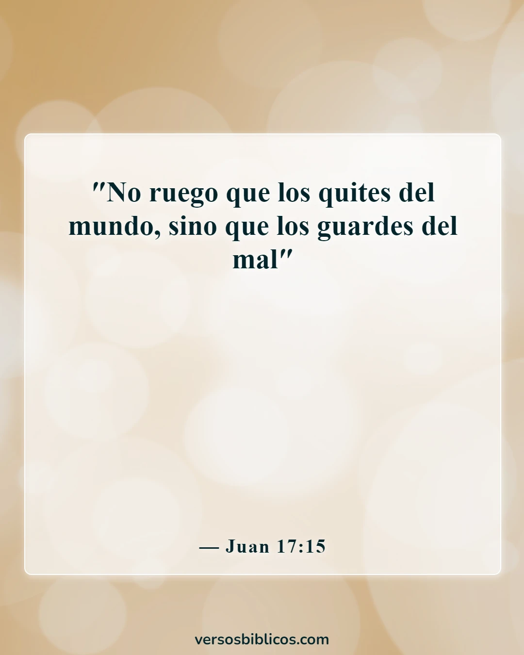 Versículos de la Biblia sobre protegerte del mal (Juan 17:15)