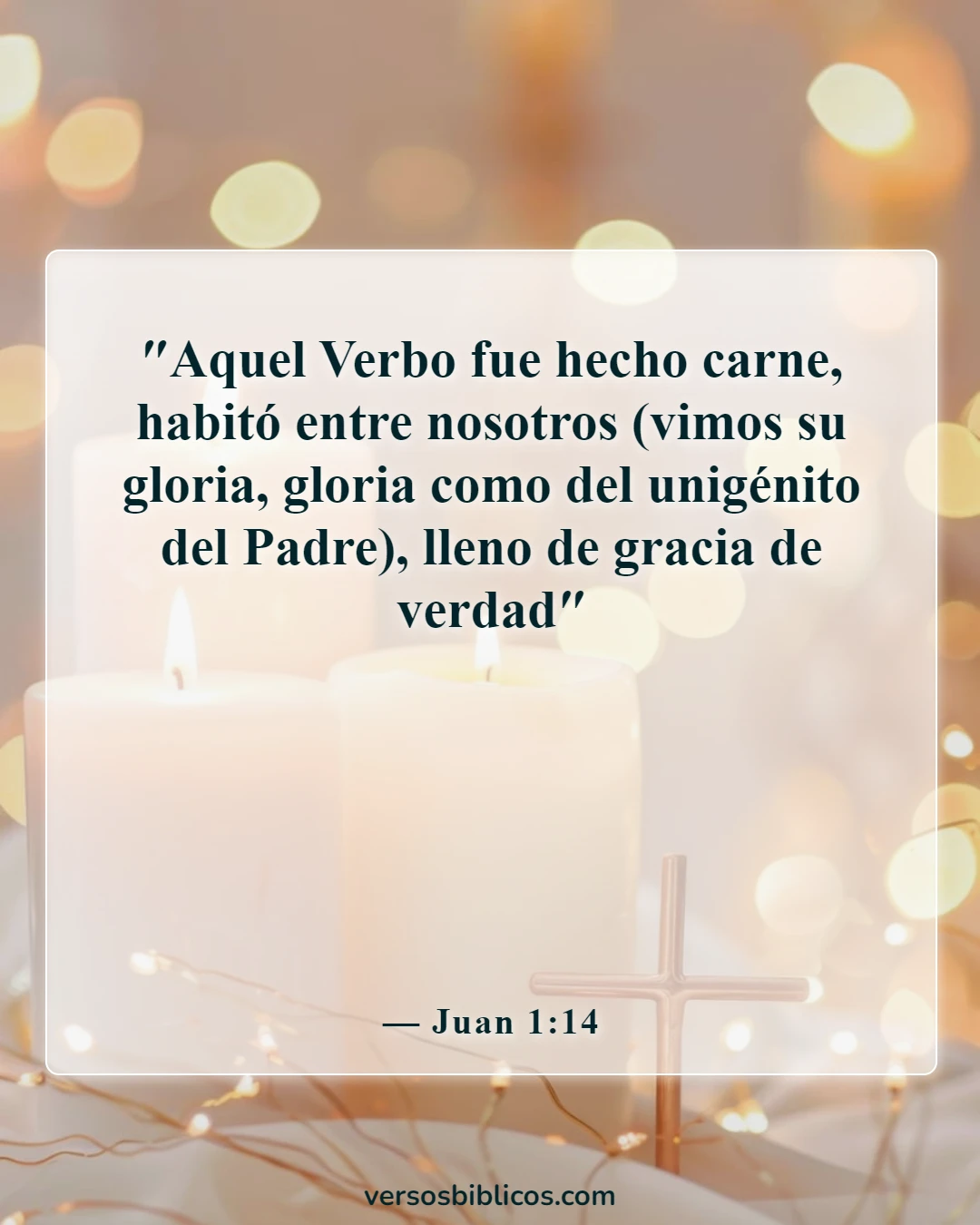 Versículos de la Biblia sobre la Navidad (Juan 1:14)