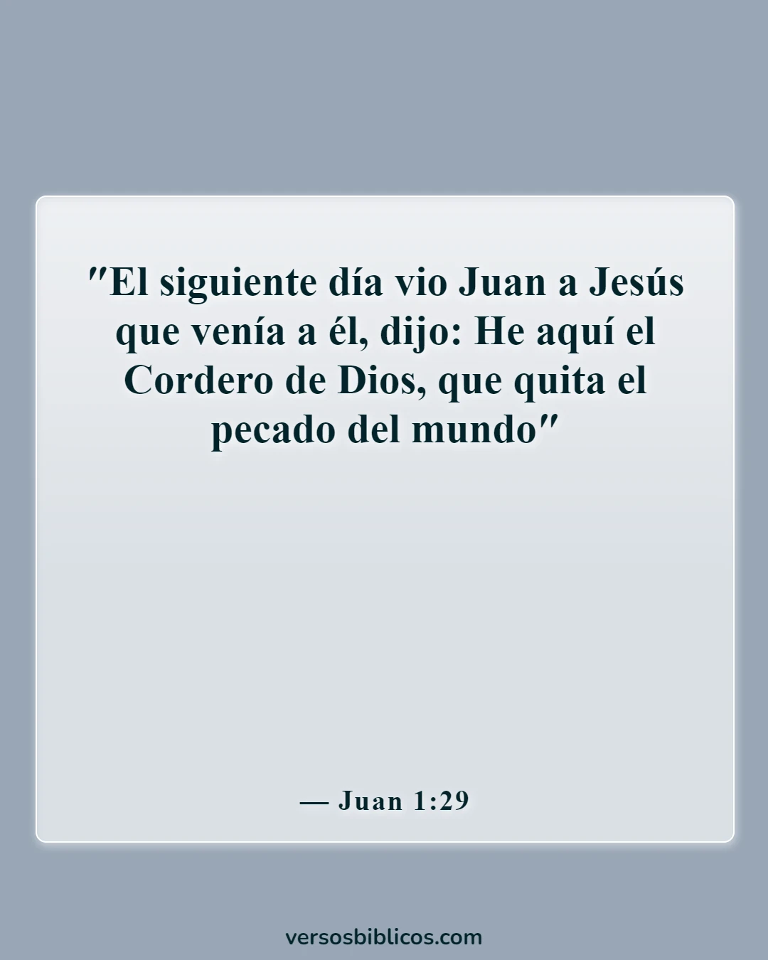Versículos de la Biblia sobre Jesús sufriendo por nuestros pecados (Juan 1:29)