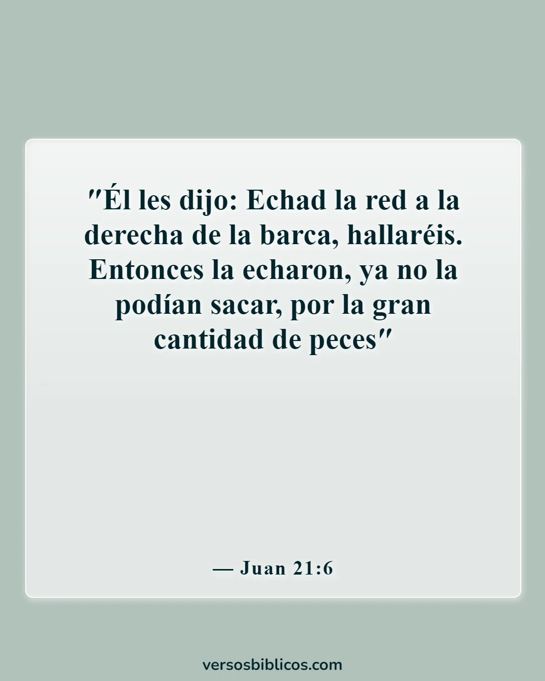 Versículos de la Biblia sobre milagros poderosos (Juan 21:6)