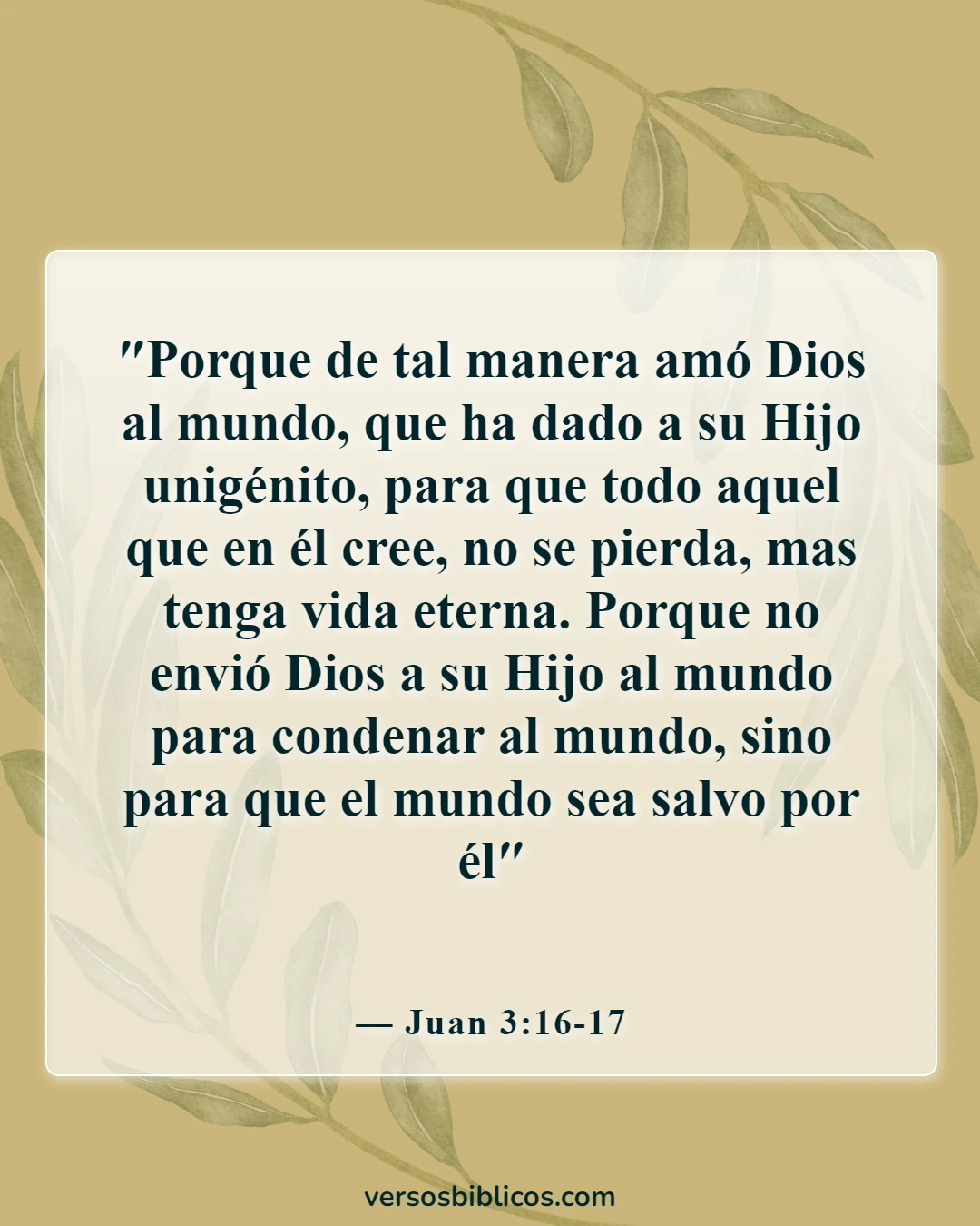 Versículos de la Biblia sobre el castigo (Juan 3:16-17)