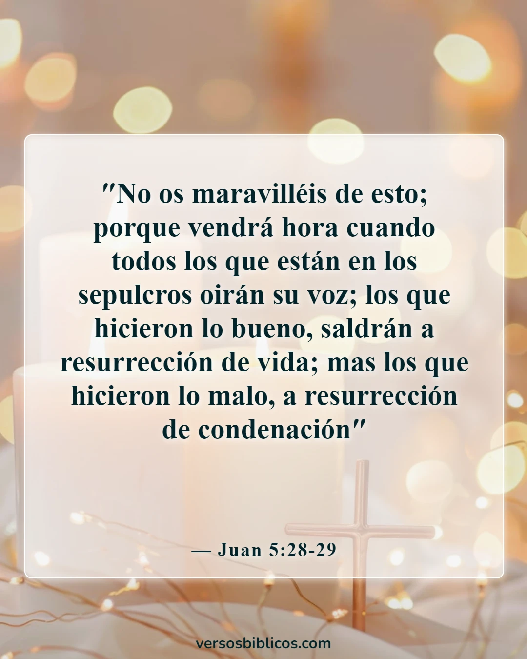 Versículos de la Biblia sobre el karma (Juan 5:28-29)
