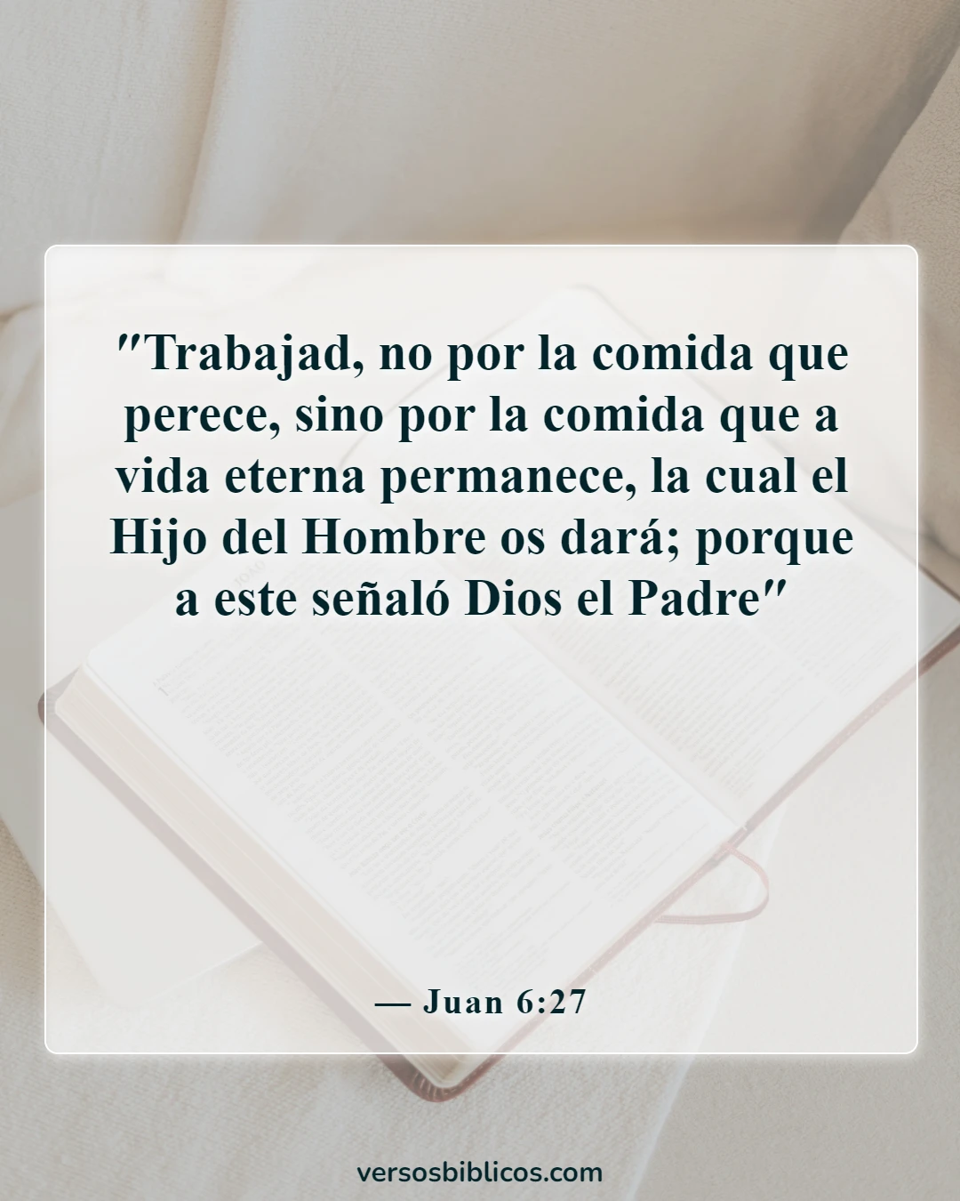 Versículos de la Biblia sobre el tesoro en el cielo (Juan 6:27)