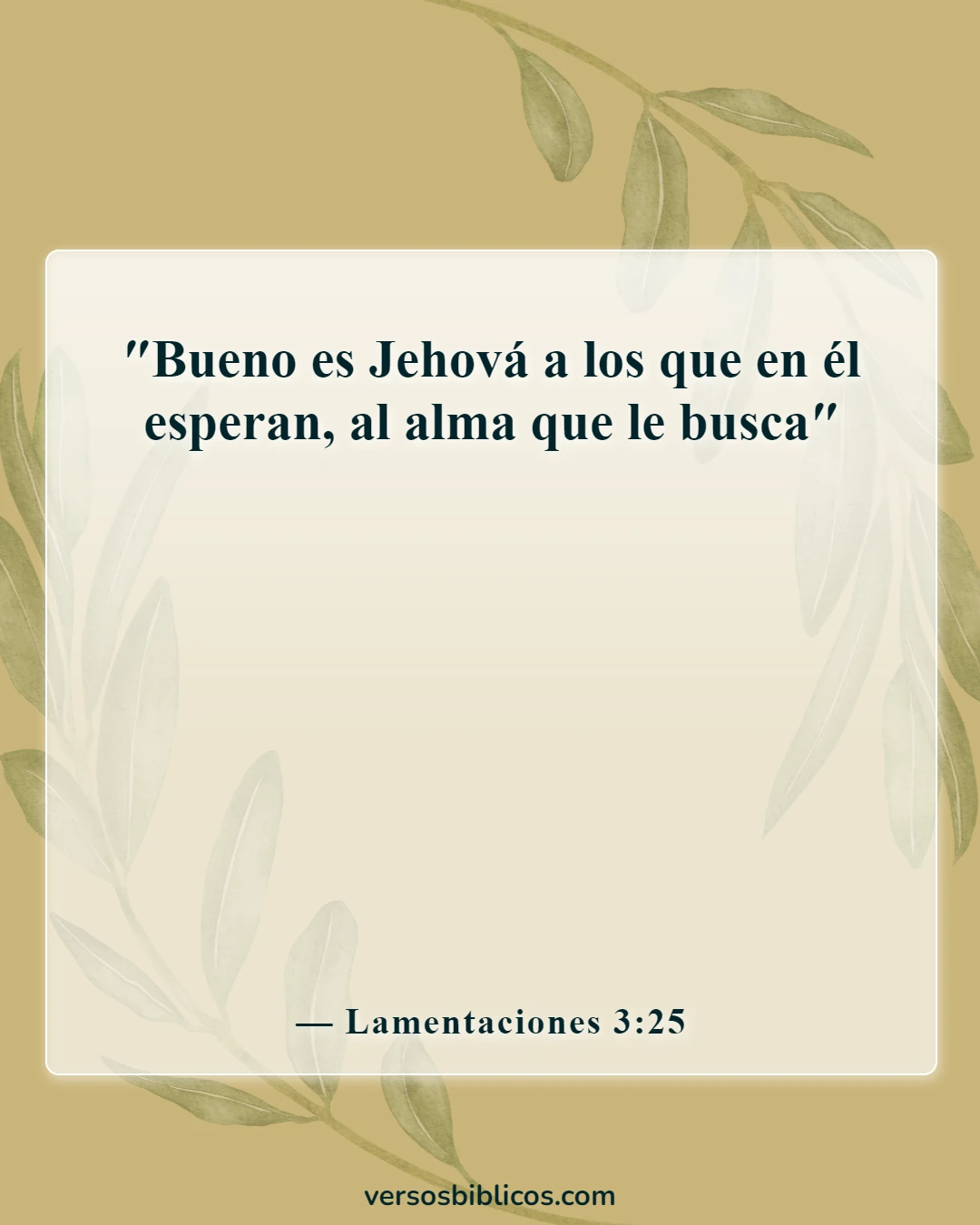 Versículos de la Biblia sobre problemas difíciles (Lamentaciones 3:25)