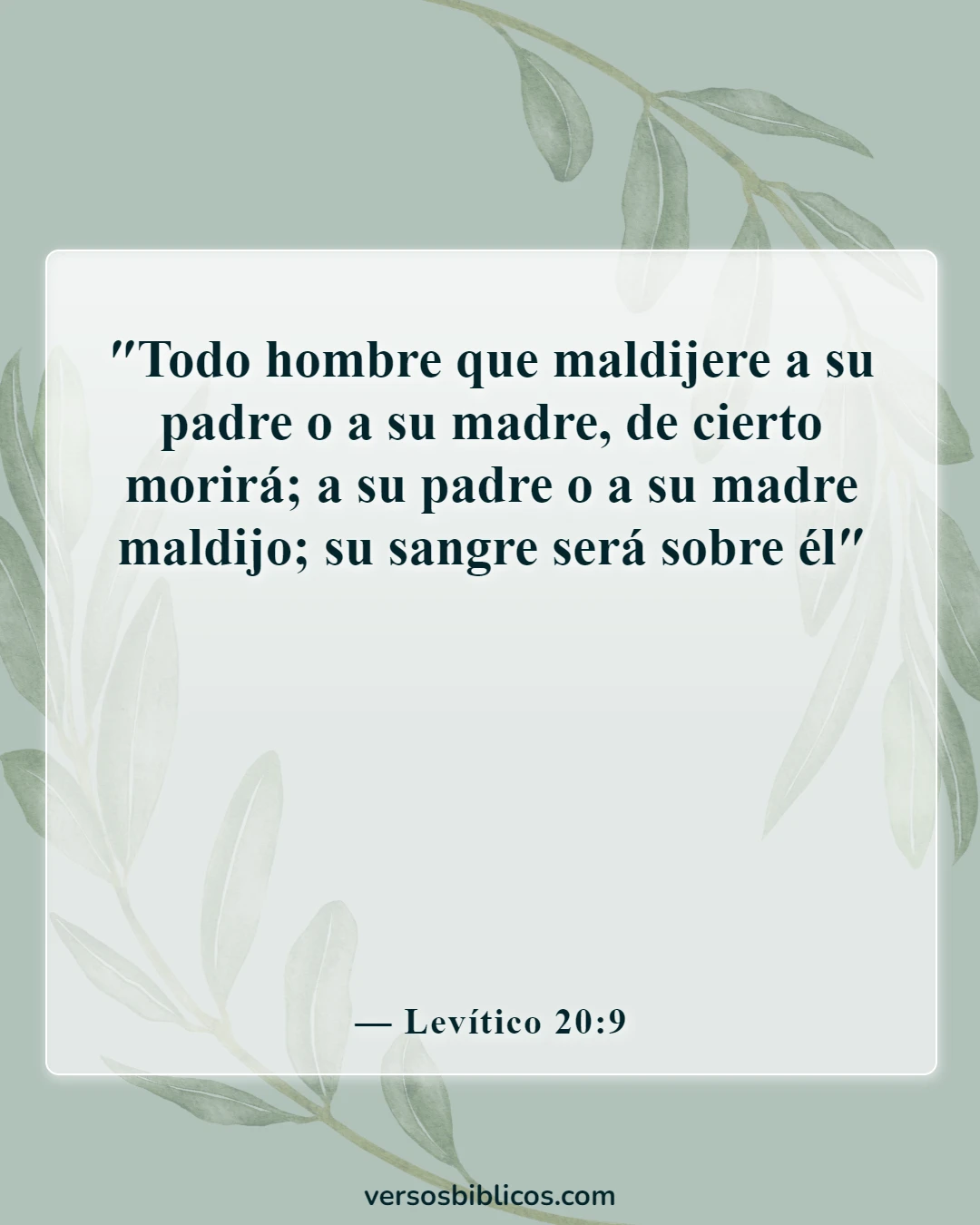 Versículos de la Biblia sobre faltarle el respeto a tu madre (Levítico 20:9)