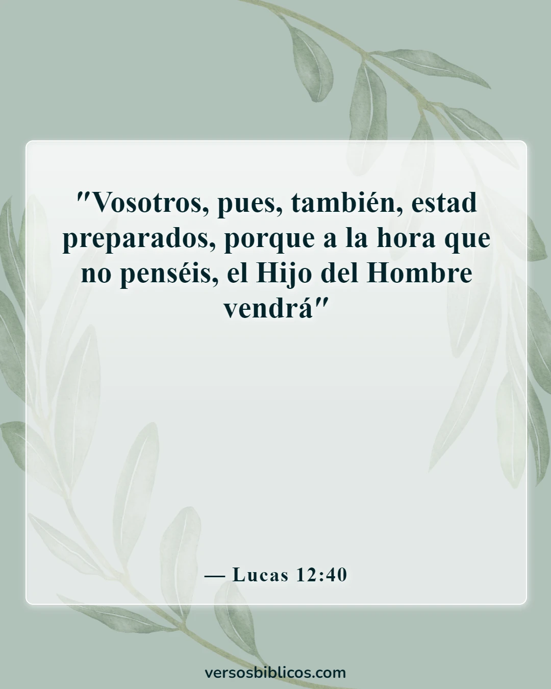 Versículos de la Biblia sobre la advertencia antes de la destrucción (Lucas 12:40)