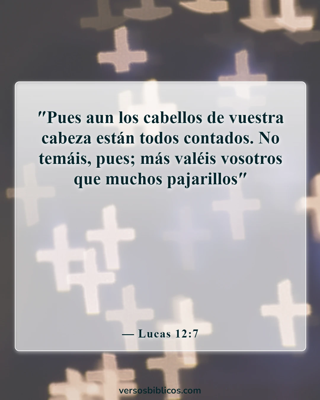 Versículos de la Biblia sobre sentirse inútil (Lucas 12:7)