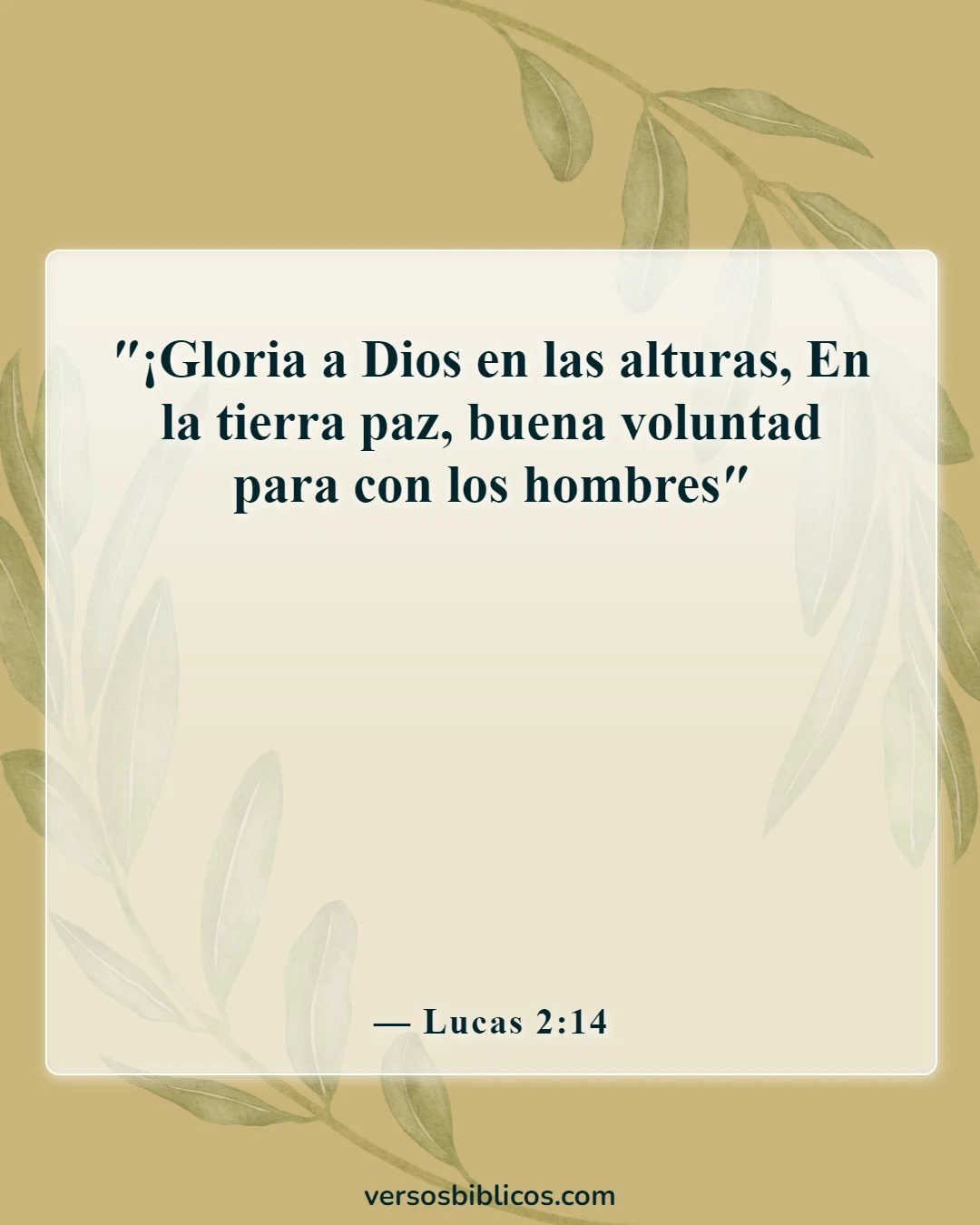 Versículos de la Biblia sobre el gozo para el mundo El Señor ha venido (Lucas 2:14)