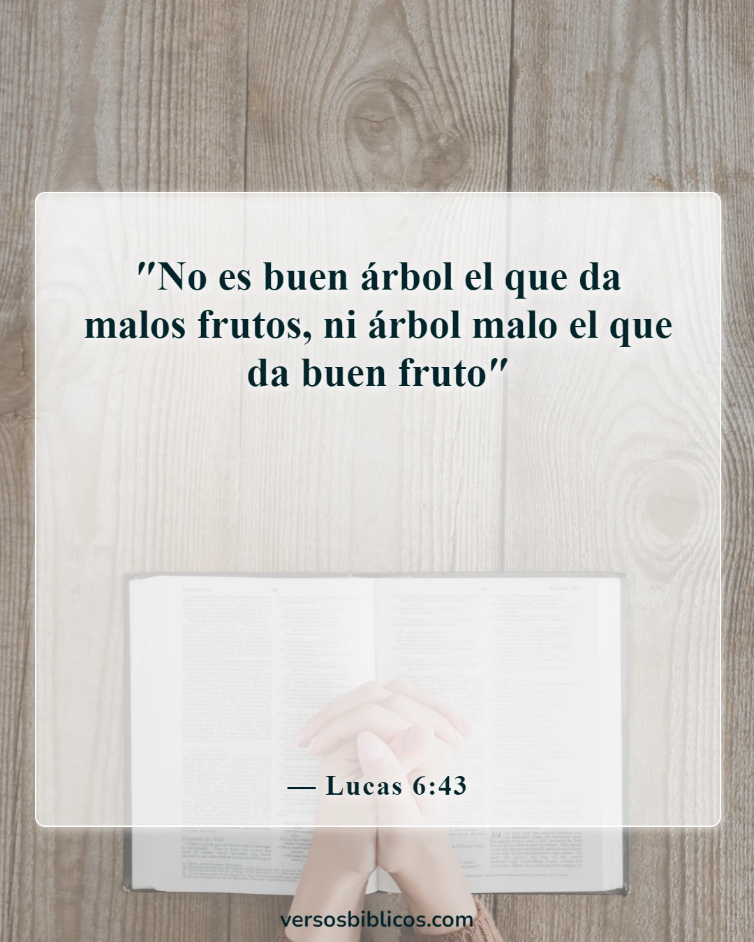 Versículos de la Biblia sobre cuestionar la fe de alguien (Lucas 6:43)