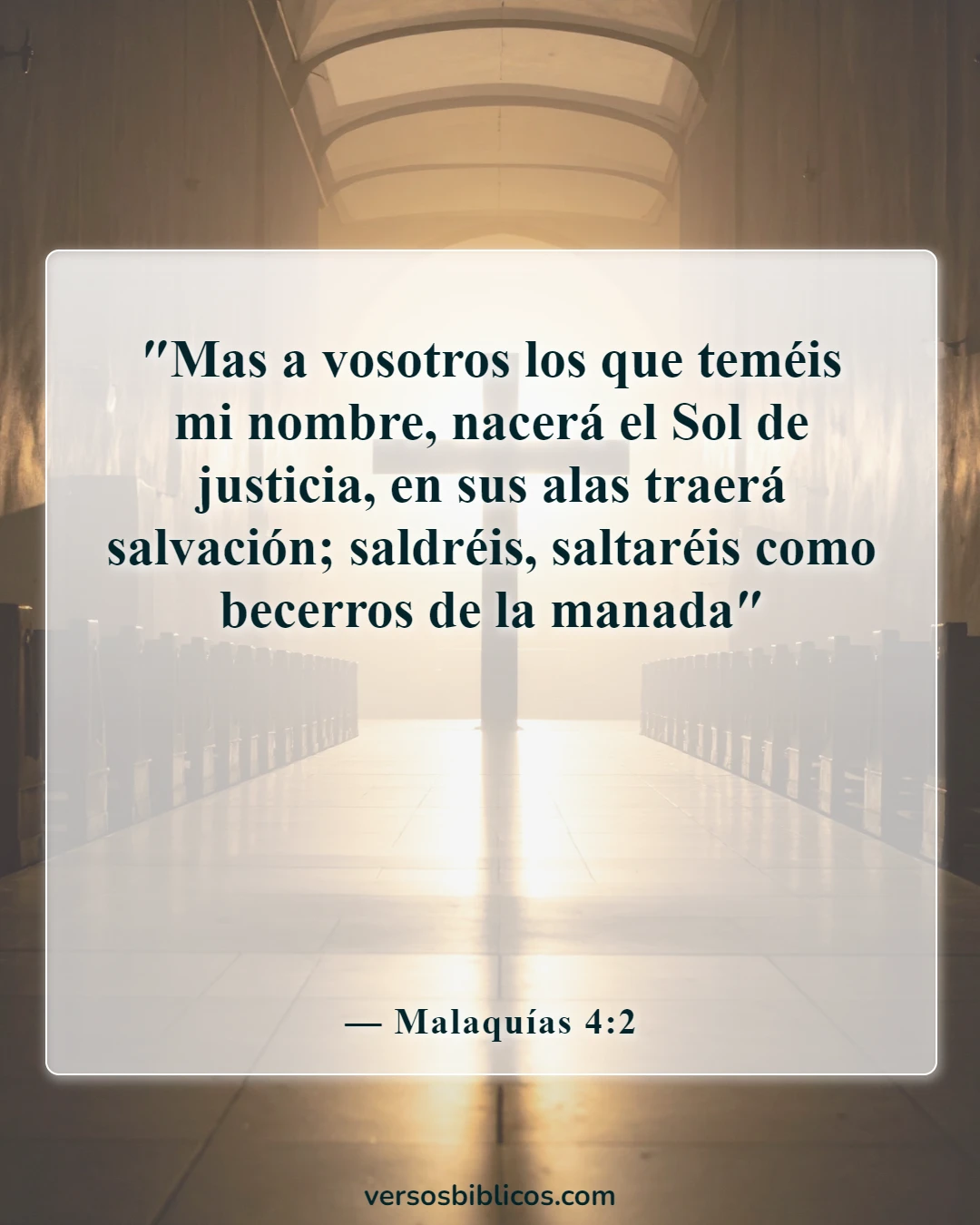 Versículos de la Biblia sobre un nuevo día (Malaquías 4:2)