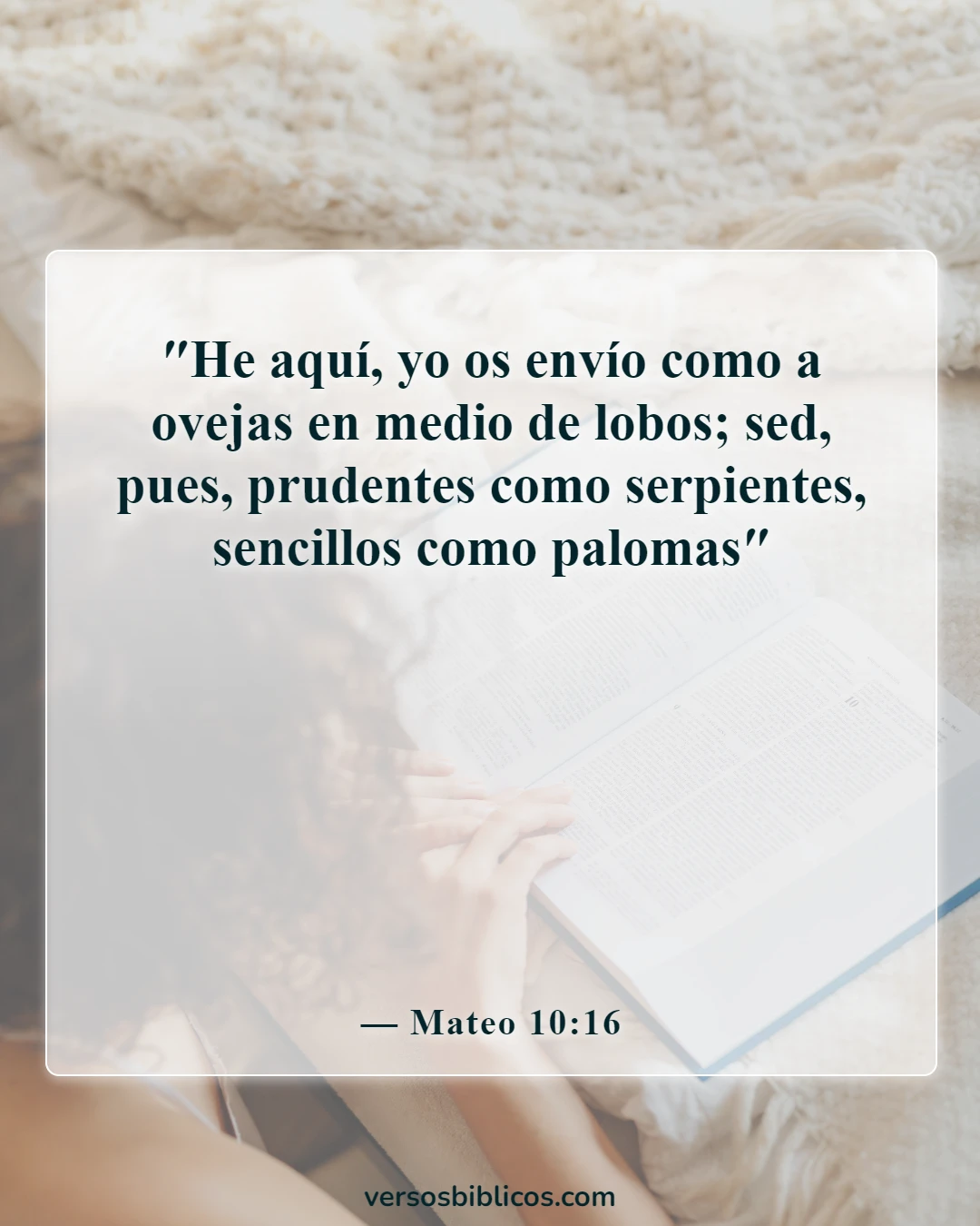 Versículos de la Biblia sobre defenderse a uno mismo (Mateo 10:16)