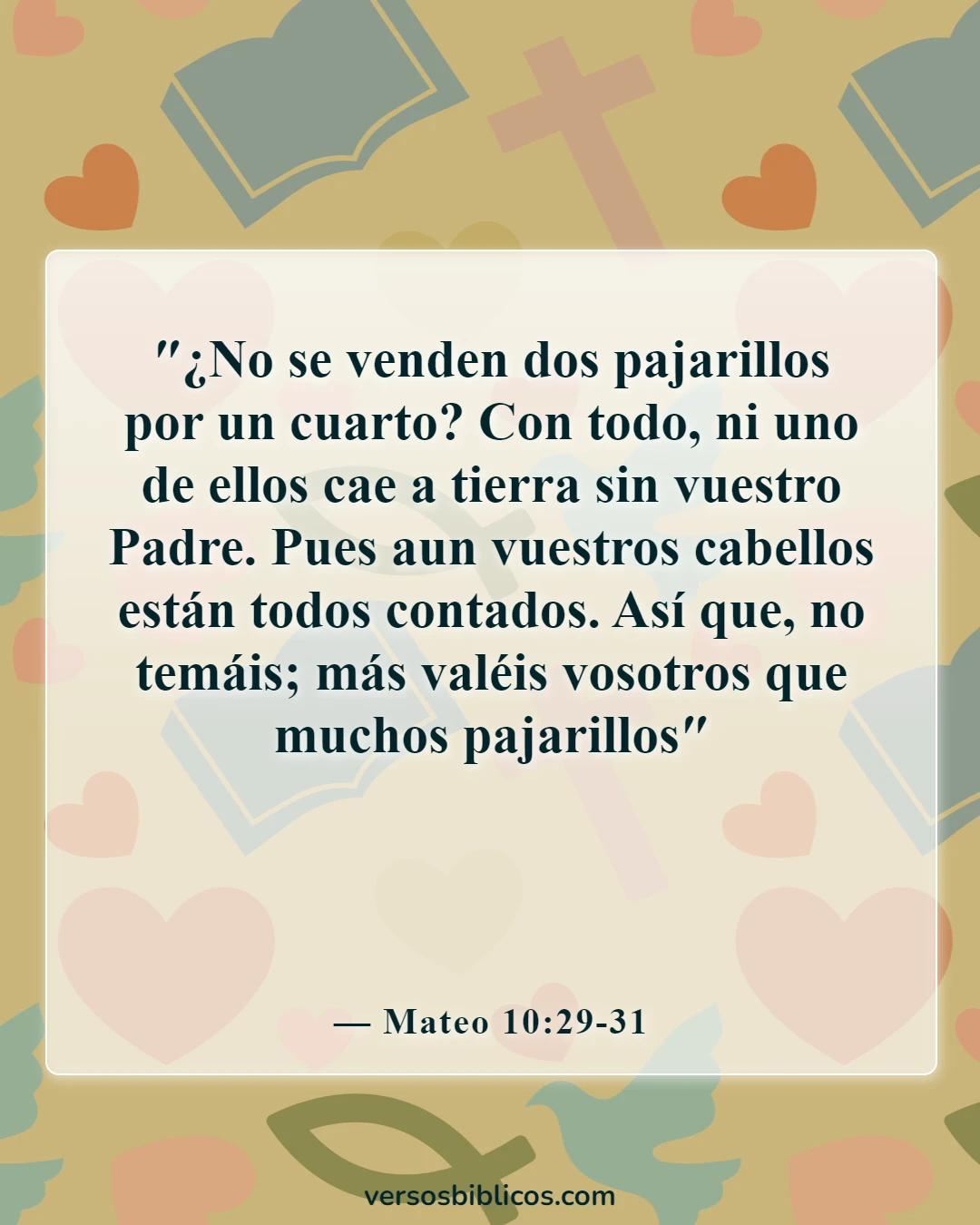Versículos de la Biblia sobre la belleza de la naturaleza (Mateo 10:29-31)