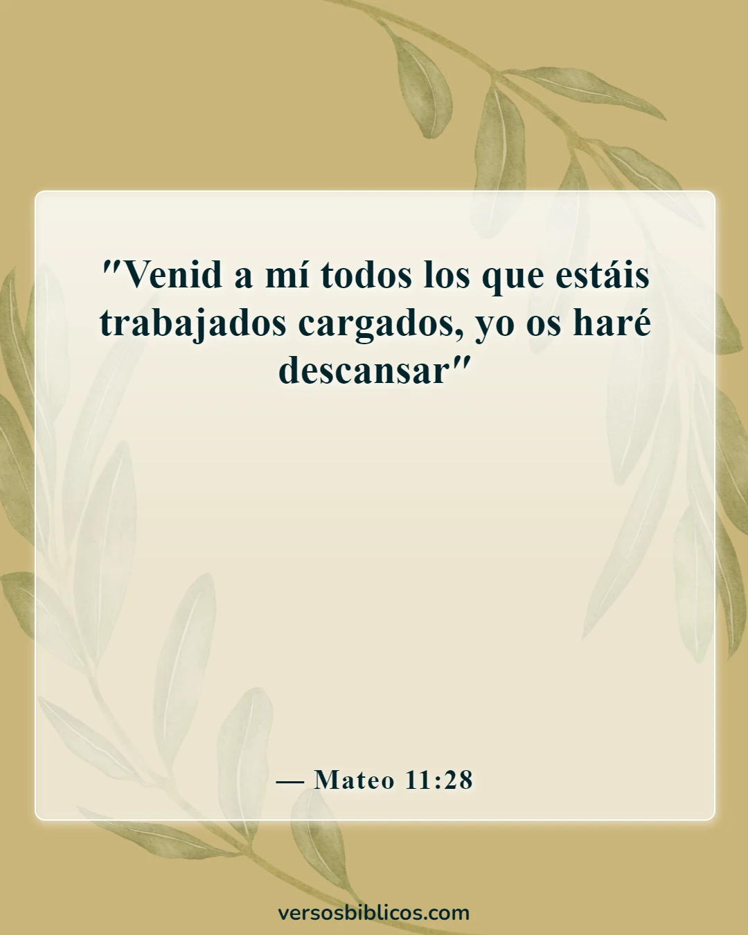 Versículos de la Biblia sobre los poderes y habilidades de Dios (Mateo 11:28)