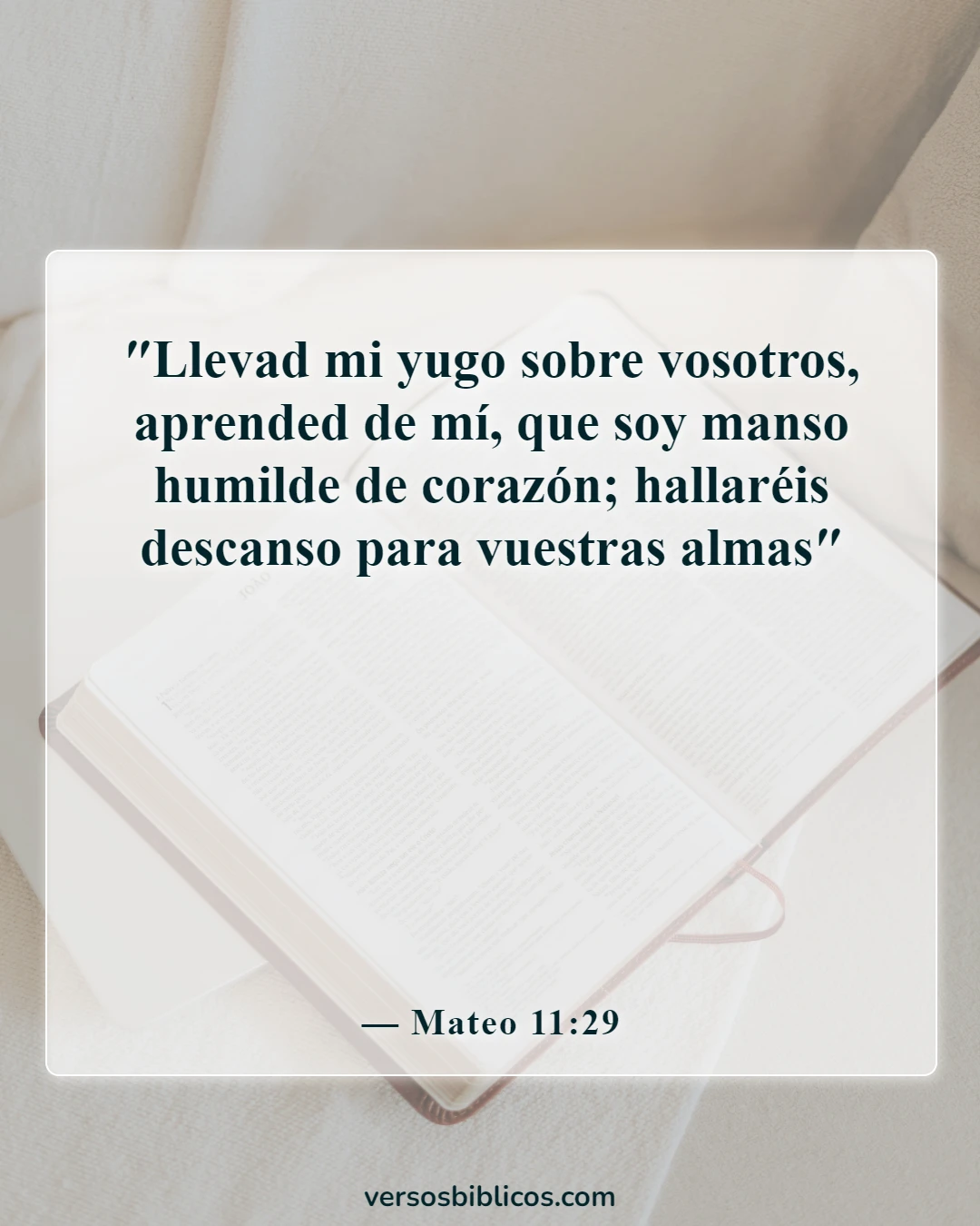 Versículos de la Biblia sobre llevar las cargas unos de otros (Mateo 11:29)
