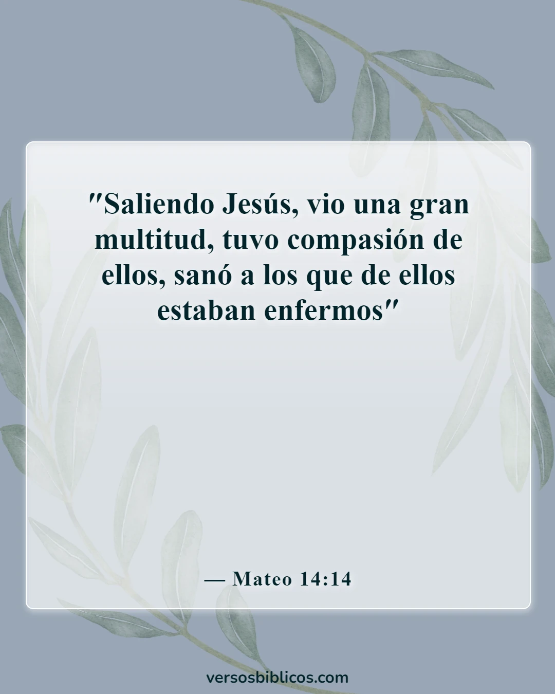 Versículos de la Biblia sobre el cuidado de los pobres y los enfermos (Mateo 14:14)