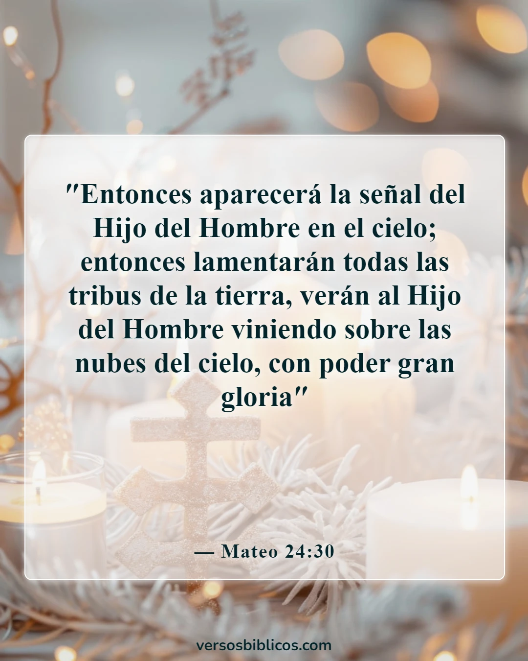 Versículos de la Biblia sobre Jesús (Mateo 24:30)