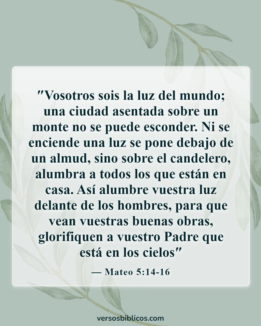 Versículos de la Biblia sobre lo valiosos que somos para Dios (Mateo 5:14-16)