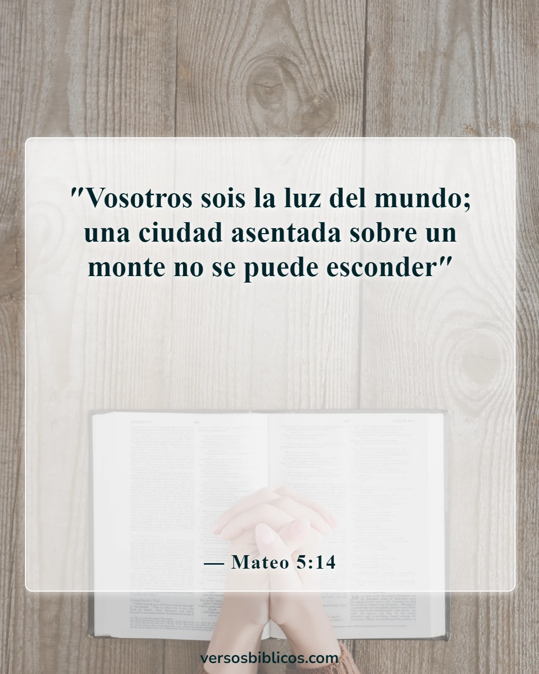 Versículos de la Biblia sobre Jesús (Mateo 5:14)