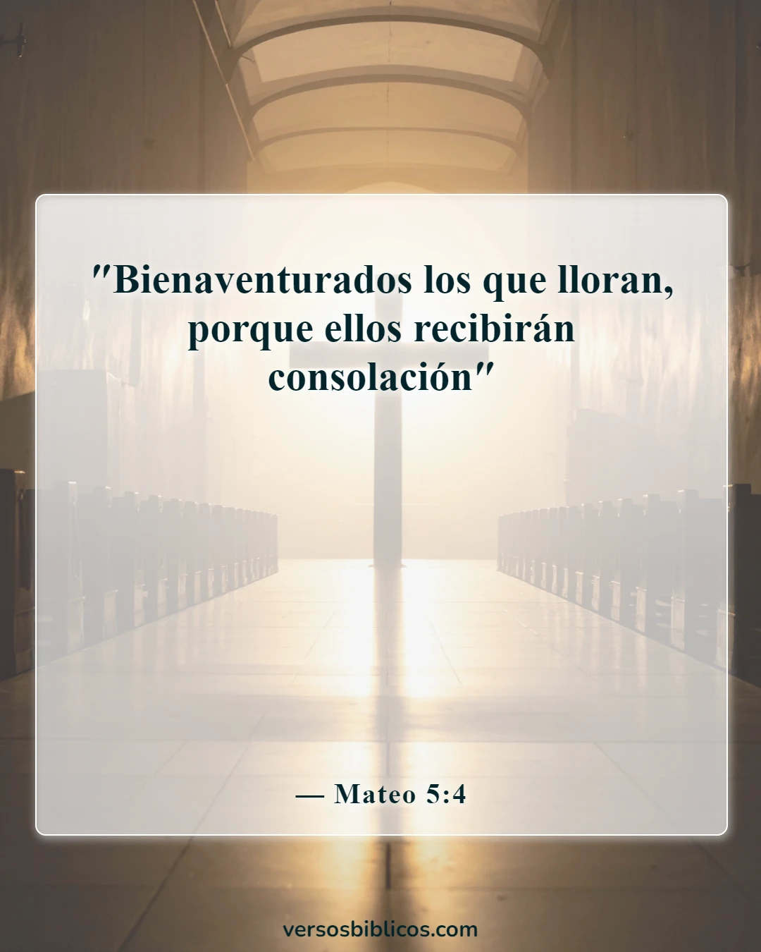 Versículos de la Biblia sobre la muerte inesperada de un niño (Mateo 5:4)