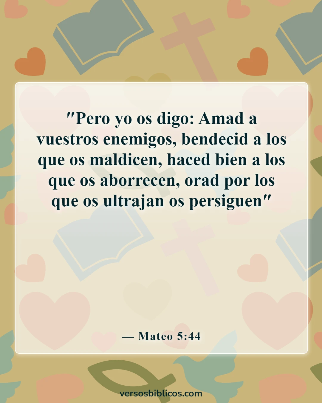 Versículos de la Biblia sobre aceptar a los demás (Mateo 5:44)