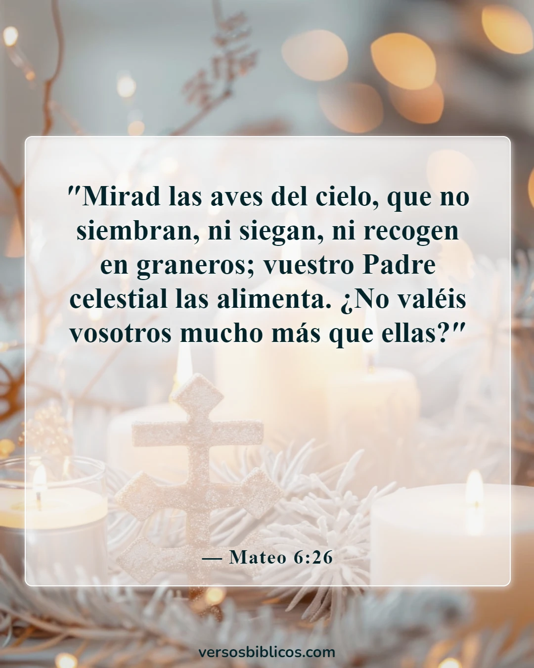 Versículos de la Biblia sobre lo valiosos que somos para Dios (Mateo 6:26)