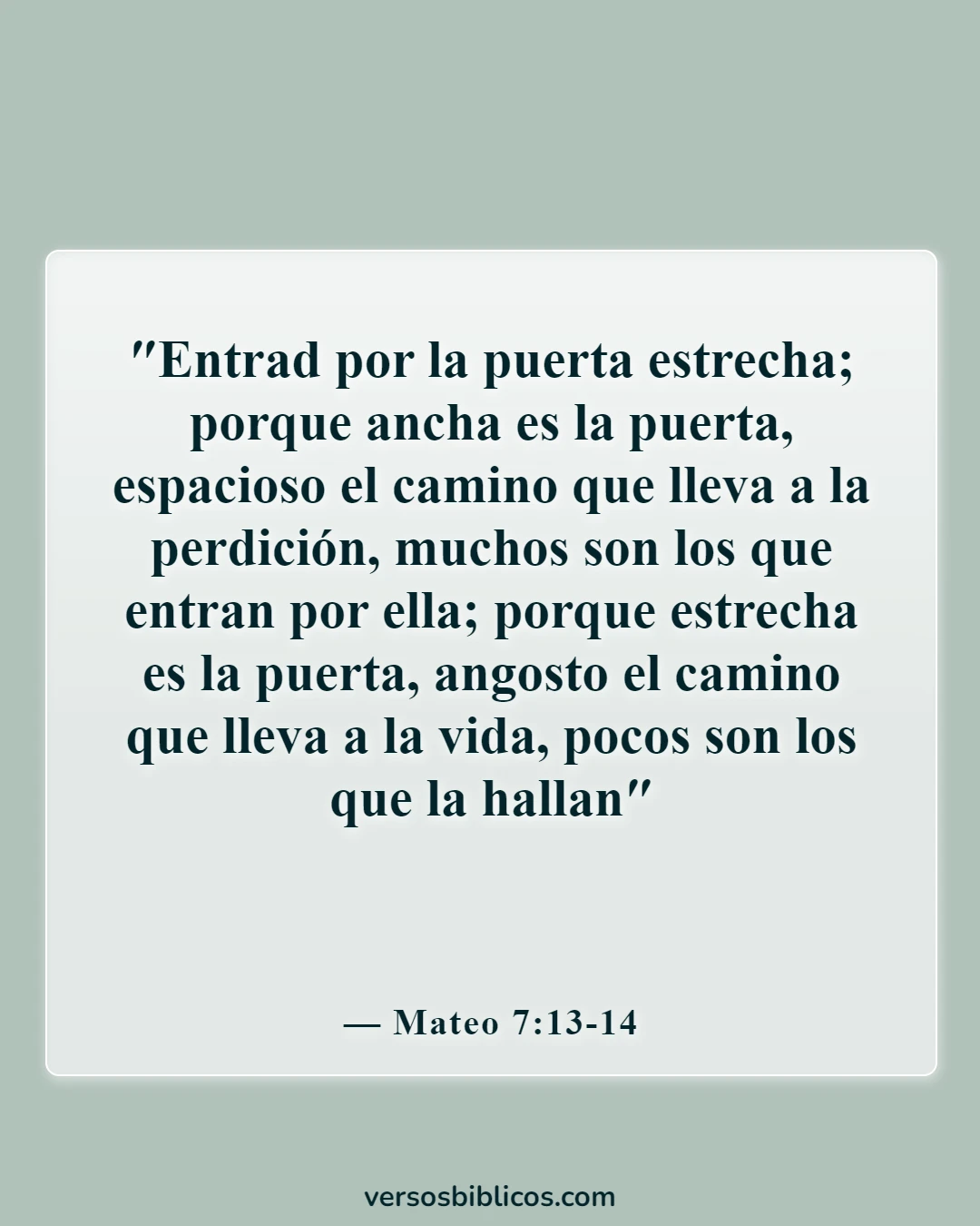 Versículos de la Biblia sobre decisiones correctas e incorrectas (Mateo 7:13-14)