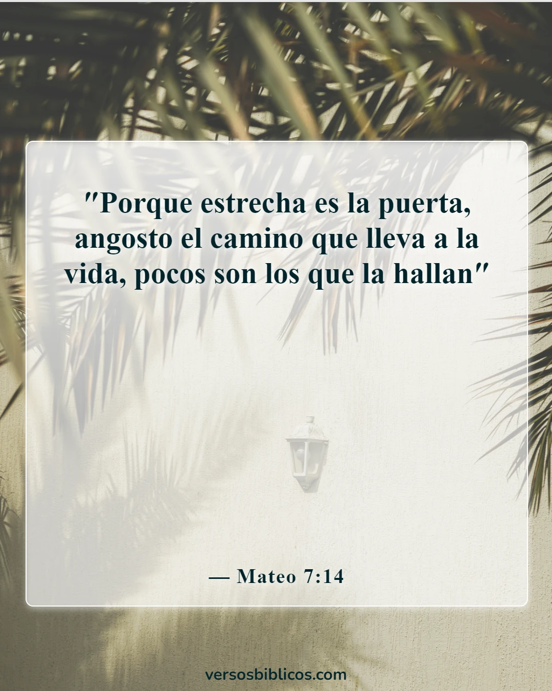 Versículos de la Biblia sobre decisiones correctas e incorrectas (Mateo 7:14)