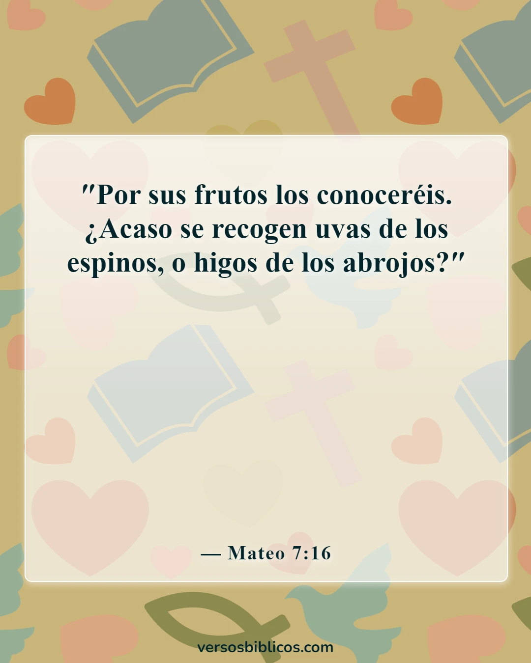 Versículos de la Biblia sobre confiar en los demás (Mateo 7:16)