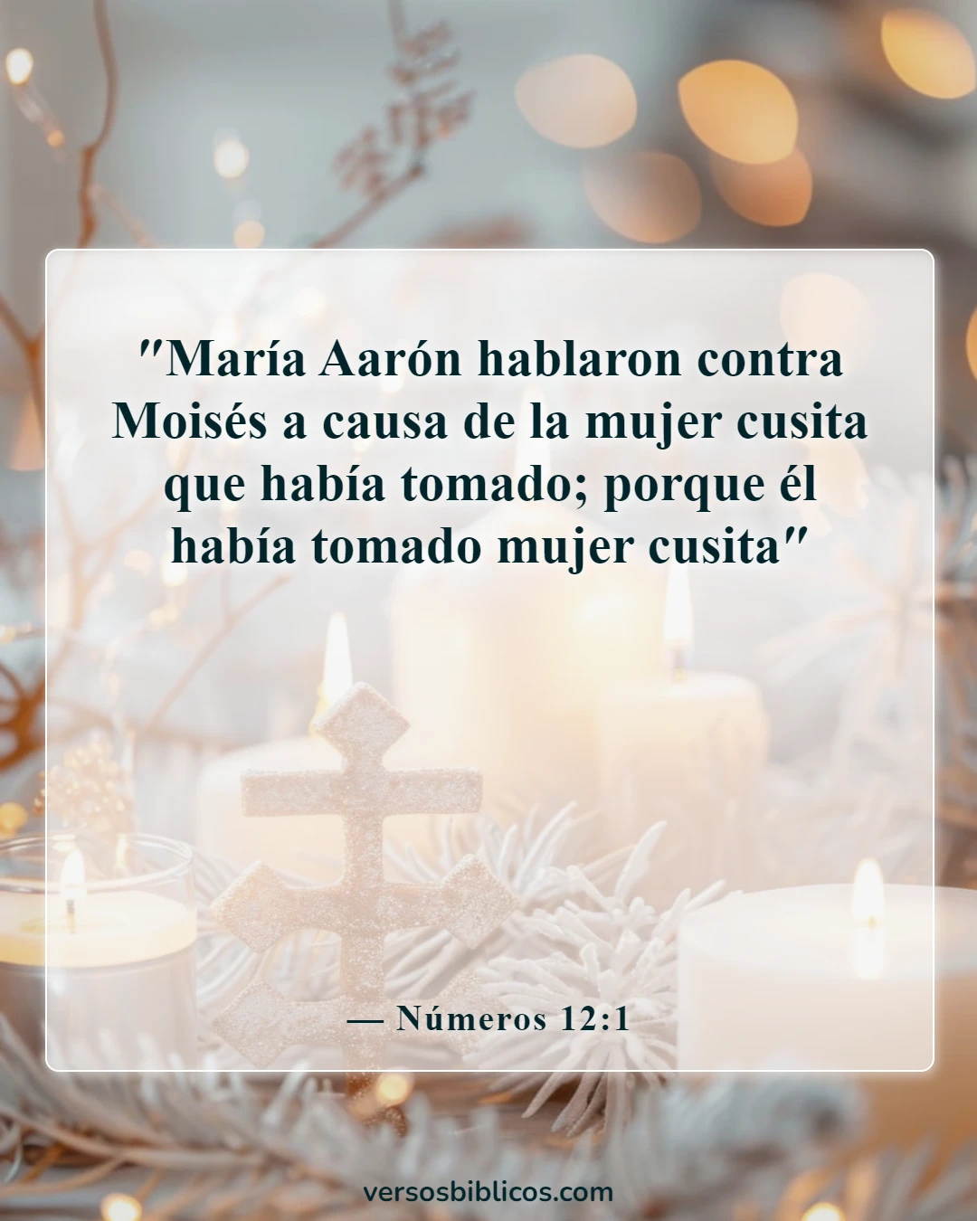 Versículos de la Biblia sobre la mezcla de razas (Números 12:1)