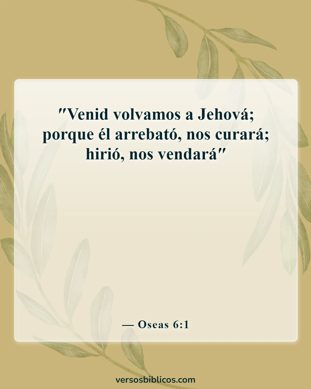 Versículos de la Biblia sobre Dios no se impone a nadie (Oseas 6:1)