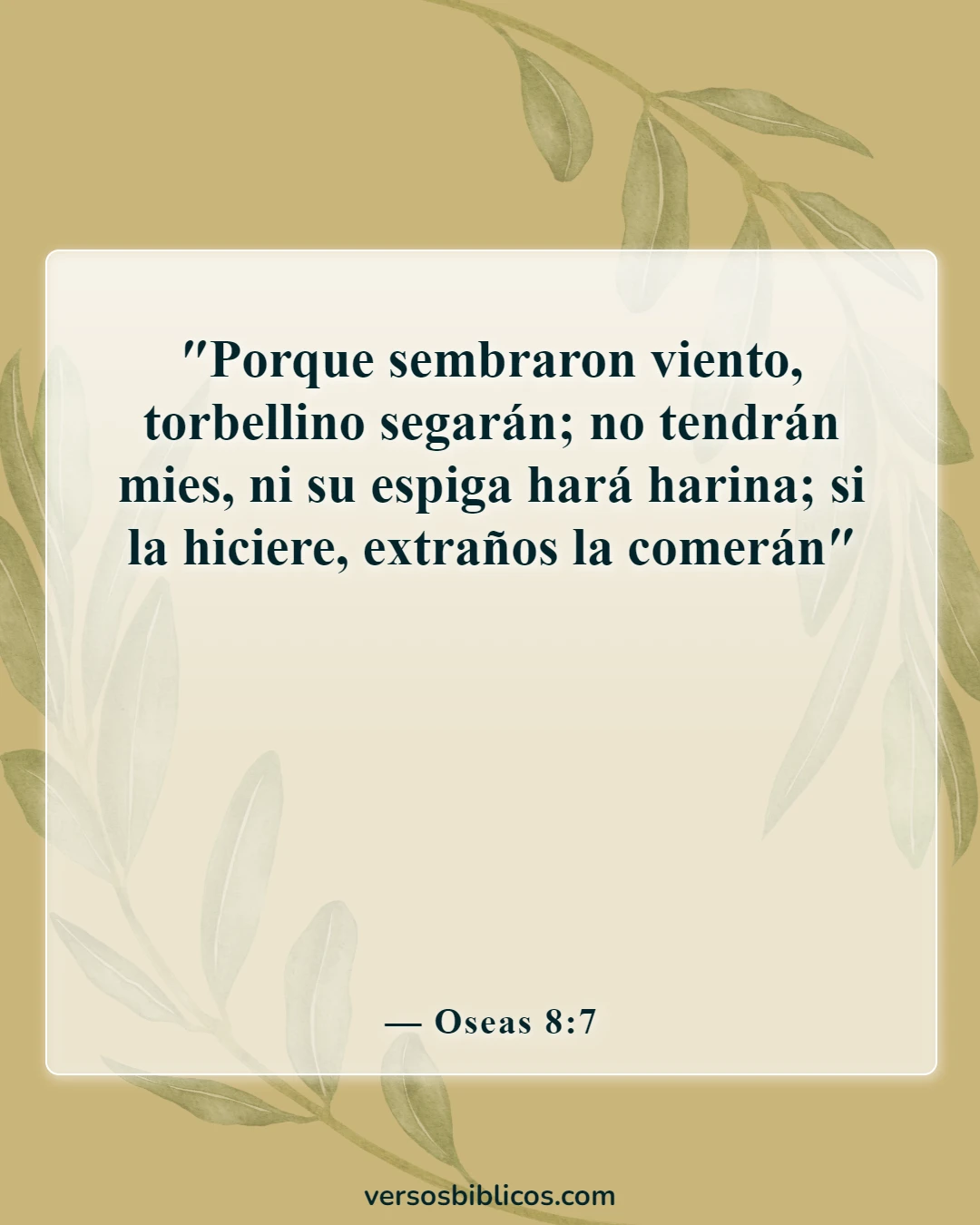 Versículos de la Biblia sobre acciones y consecuencias (Oseas 8:7)
