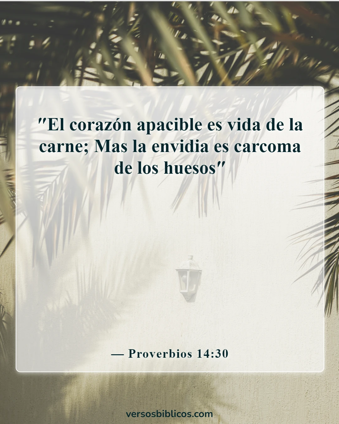Versículos de la Biblia sobre los celos en las relaciones (Proverbios 14:30)