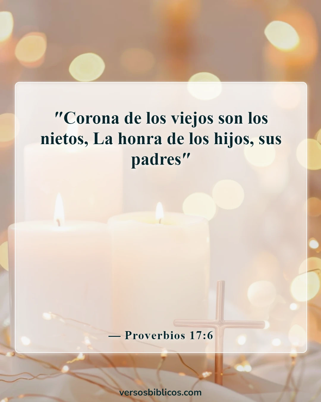 Versículos de la Biblia sobre abuelos y nietos (Proverbios 17:6)