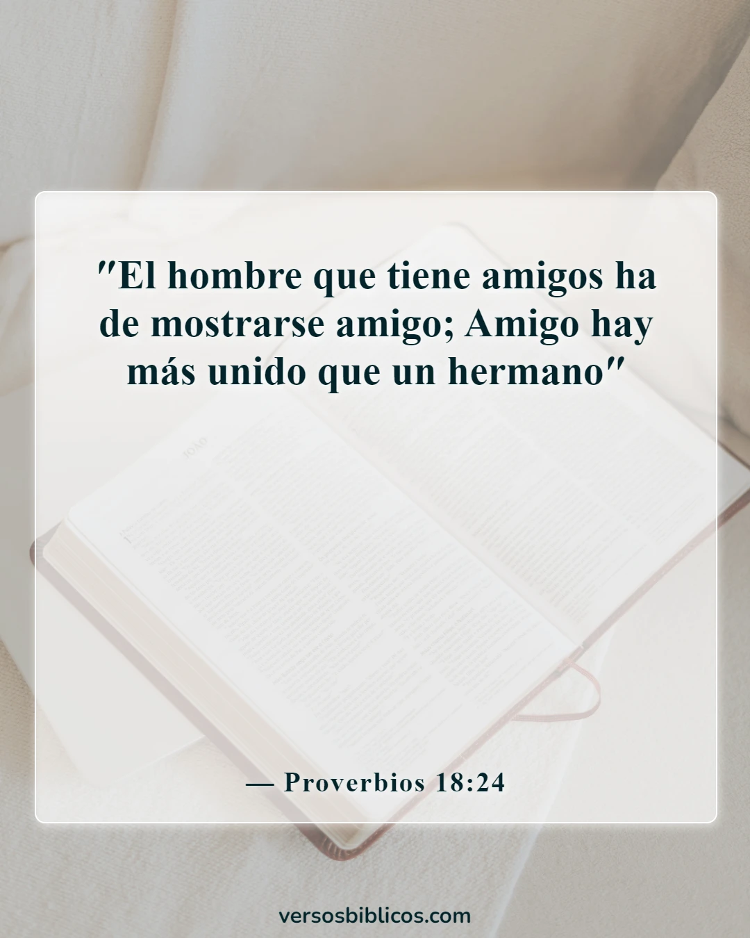 Versículos de la Biblia sobre agradecimientos por los amigos (Proverbios 18:24)