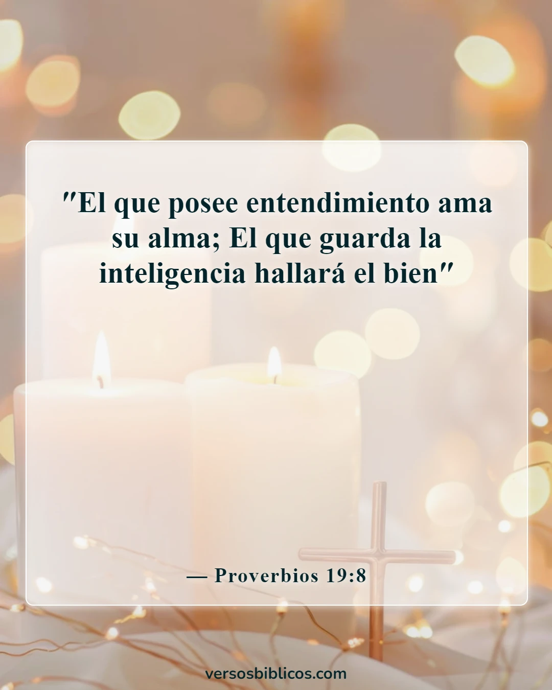 Versículos de la Biblia sobre la sabiduría de Salomón (Proverbios 19:8)