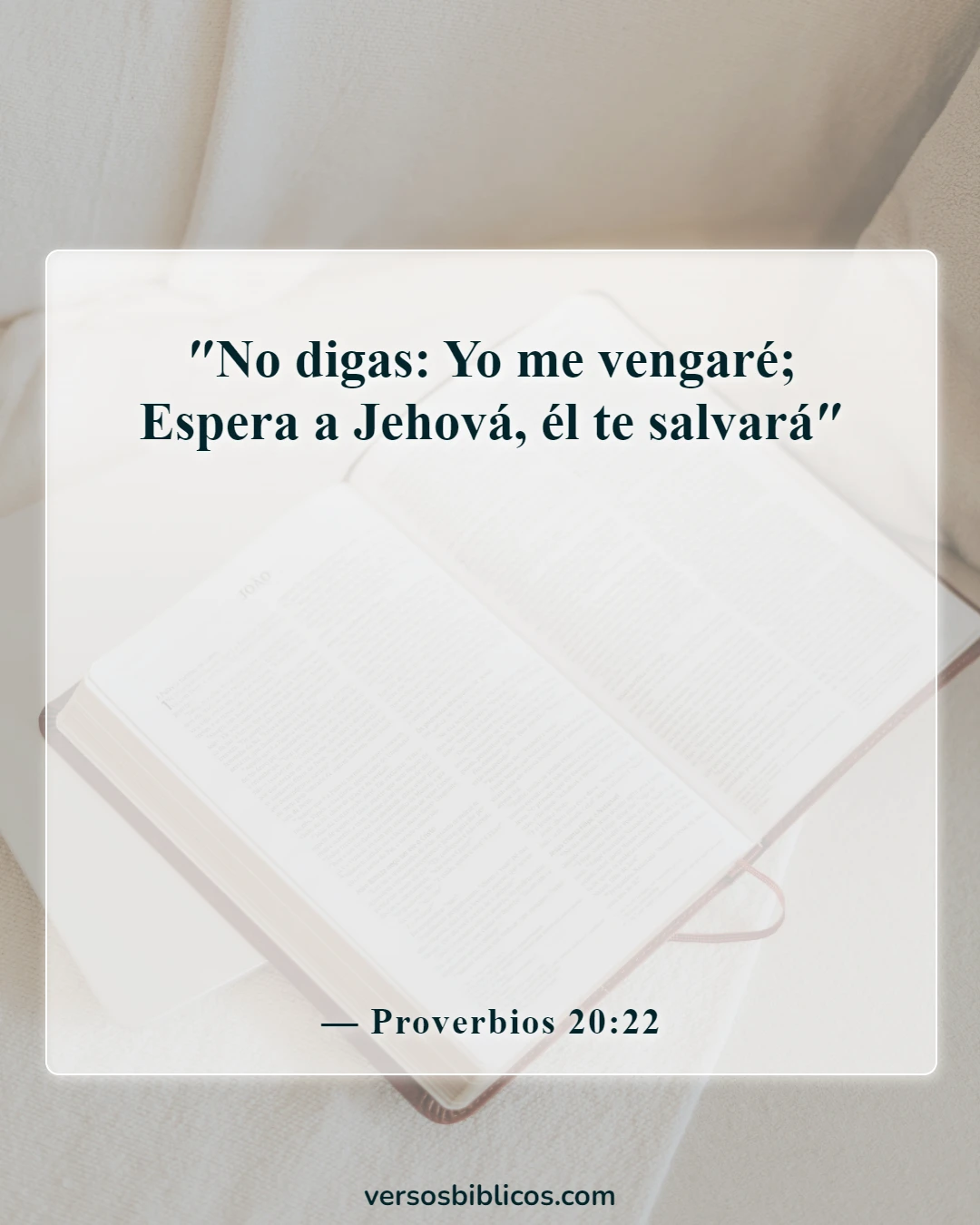 Versículos de la Biblia sobre contraatacar (Proverbios 20:22)