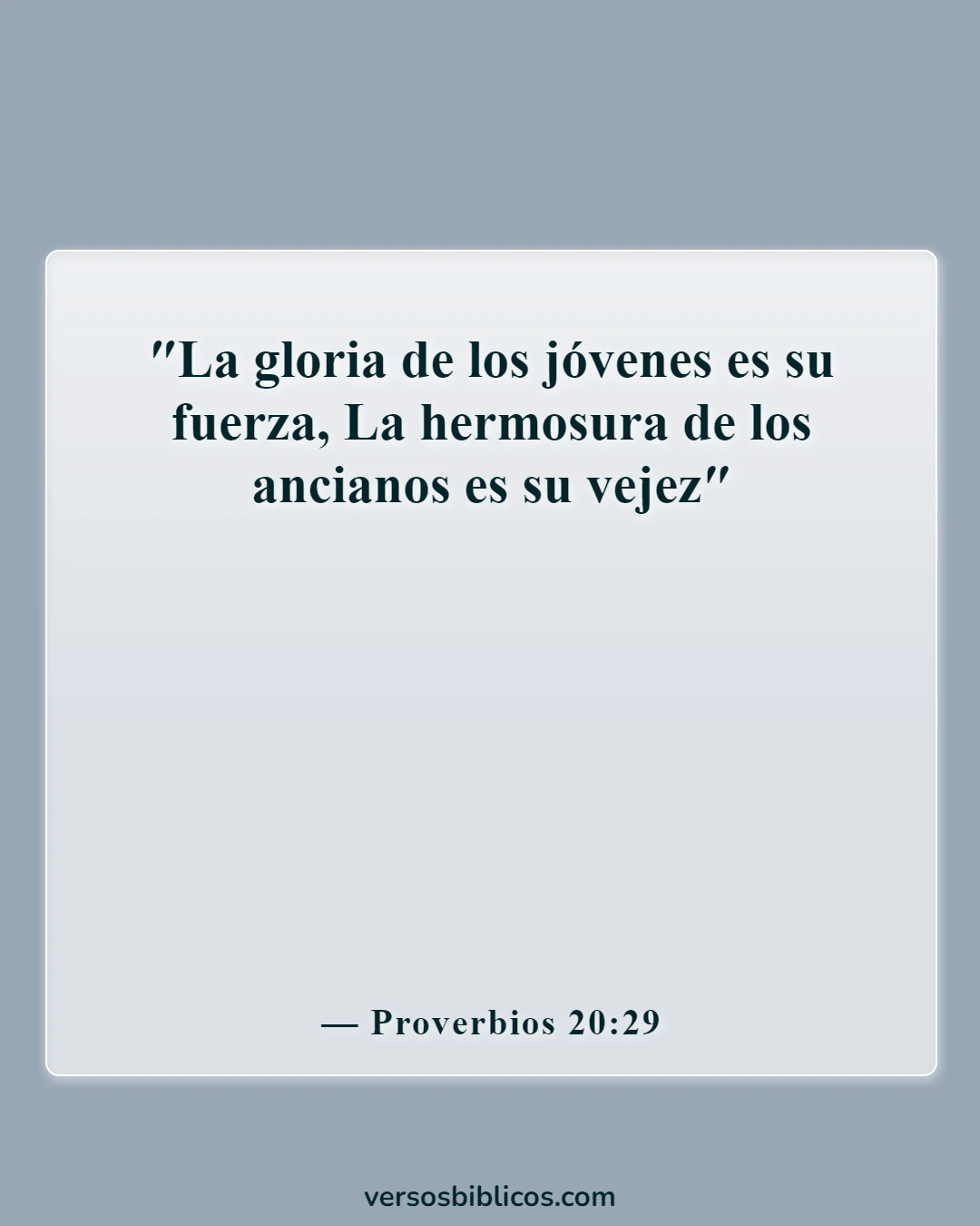 Versículos de la Biblia sobre la jubilación (Proverbios 20:29)