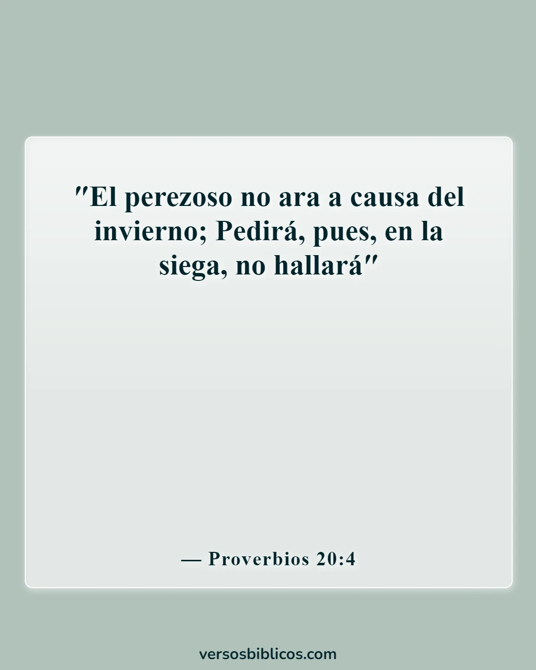 Versículos de la Biblia sobre trabajar duro y no ser perezoso (Proverbios 20:4)