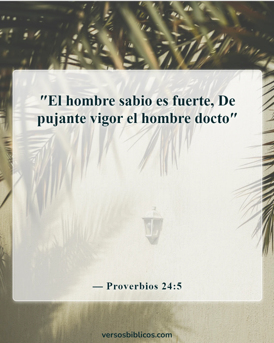 Versículos de la Biblia sobre la sabiduría (Proverbios 24:5)
