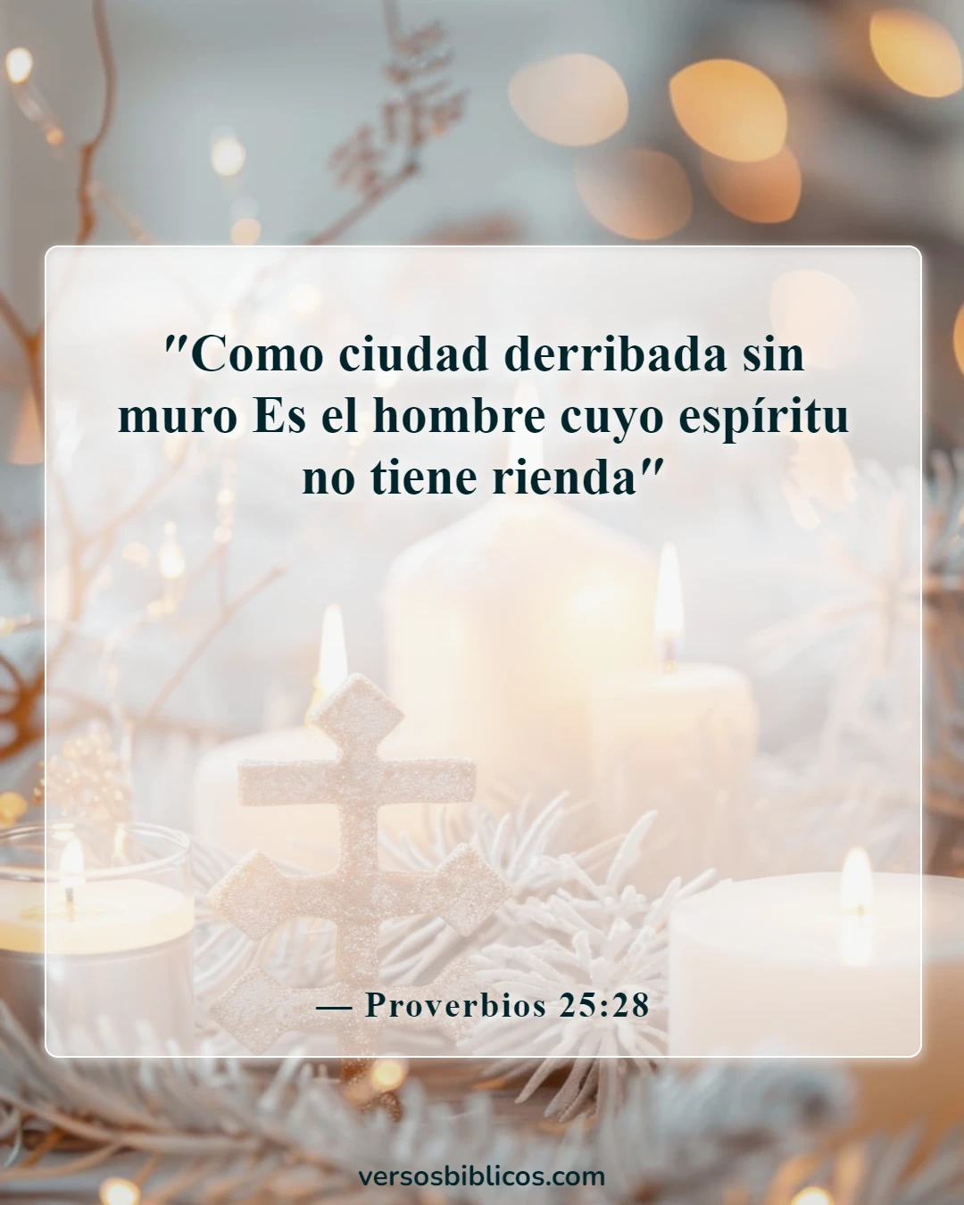 Versículos de la Biblia sobre el autocontrol y la autodisciplina (Proverbios 25:28)