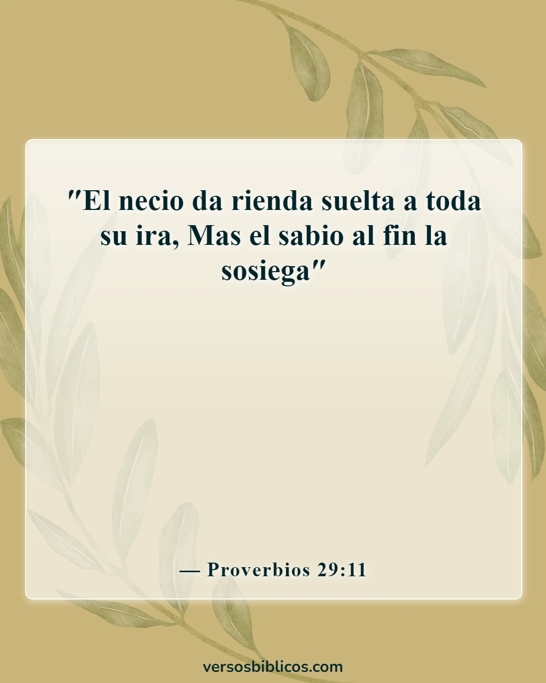 Versículos de la Biblia sobre la ira (Proverbios 29:11)