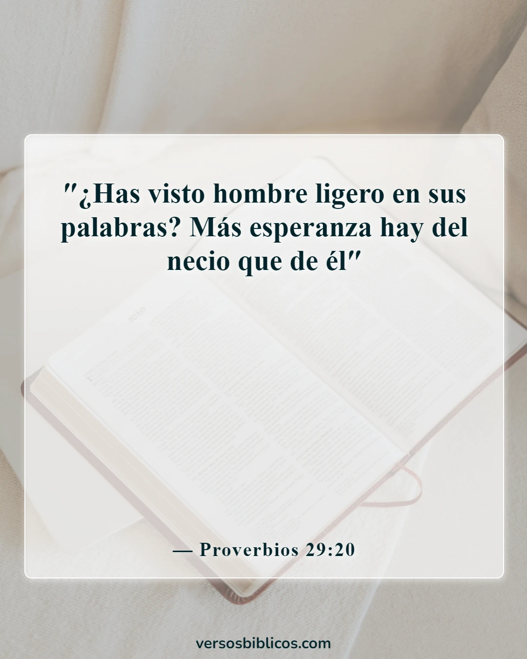 Versículos de la Biblia sobre cómo cuidar la lengua (Proverbios 29:20)