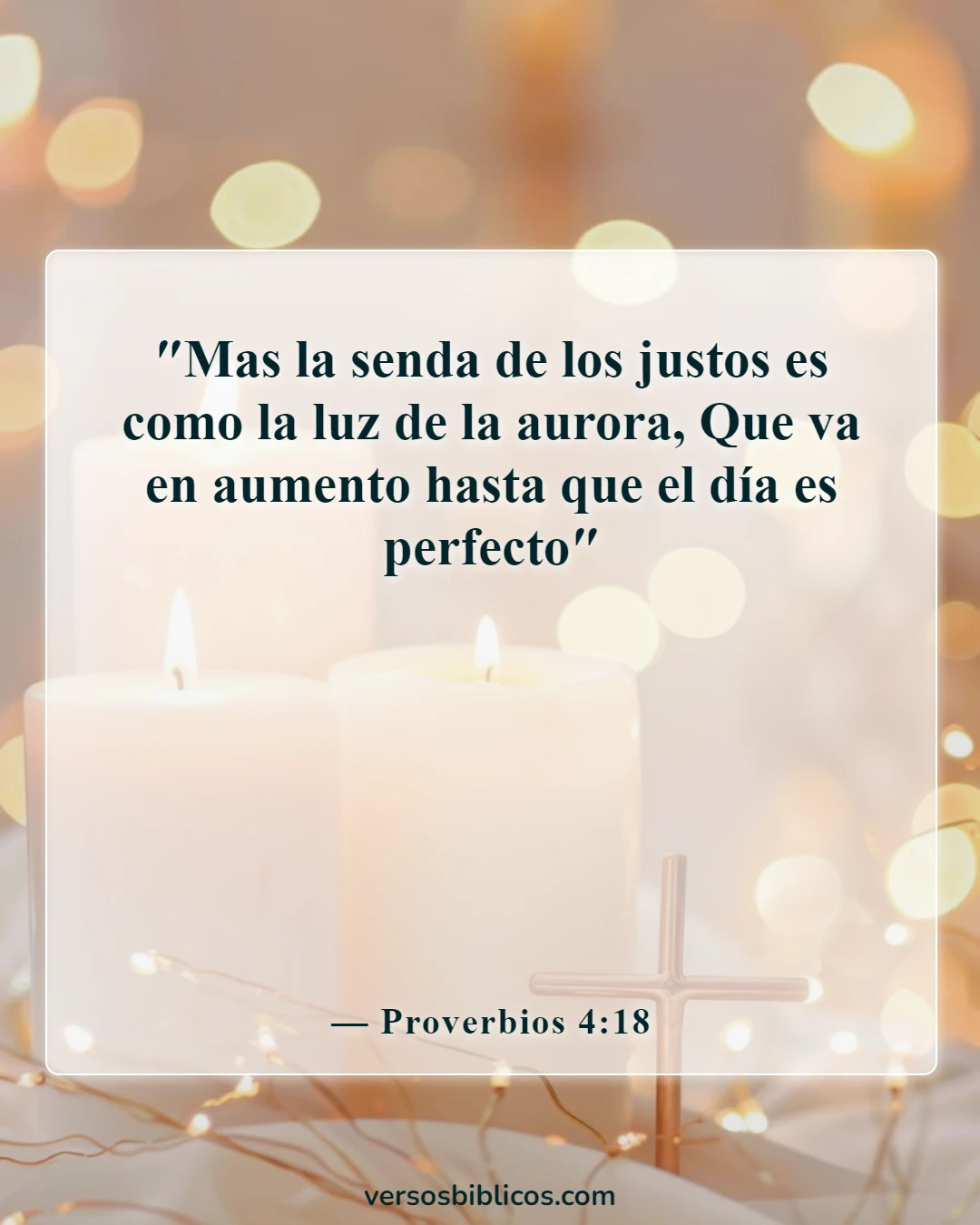 Versículos de la Biblia sobre citas biográficas personales (Proverbios 4:18)