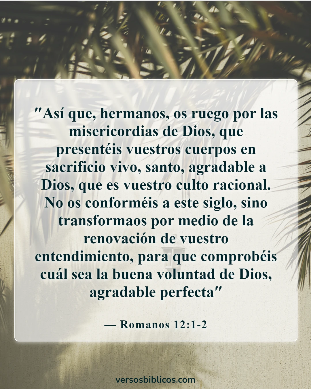 Versículos de la Biblia sobre Masterbation (Romanos 12:1-2)