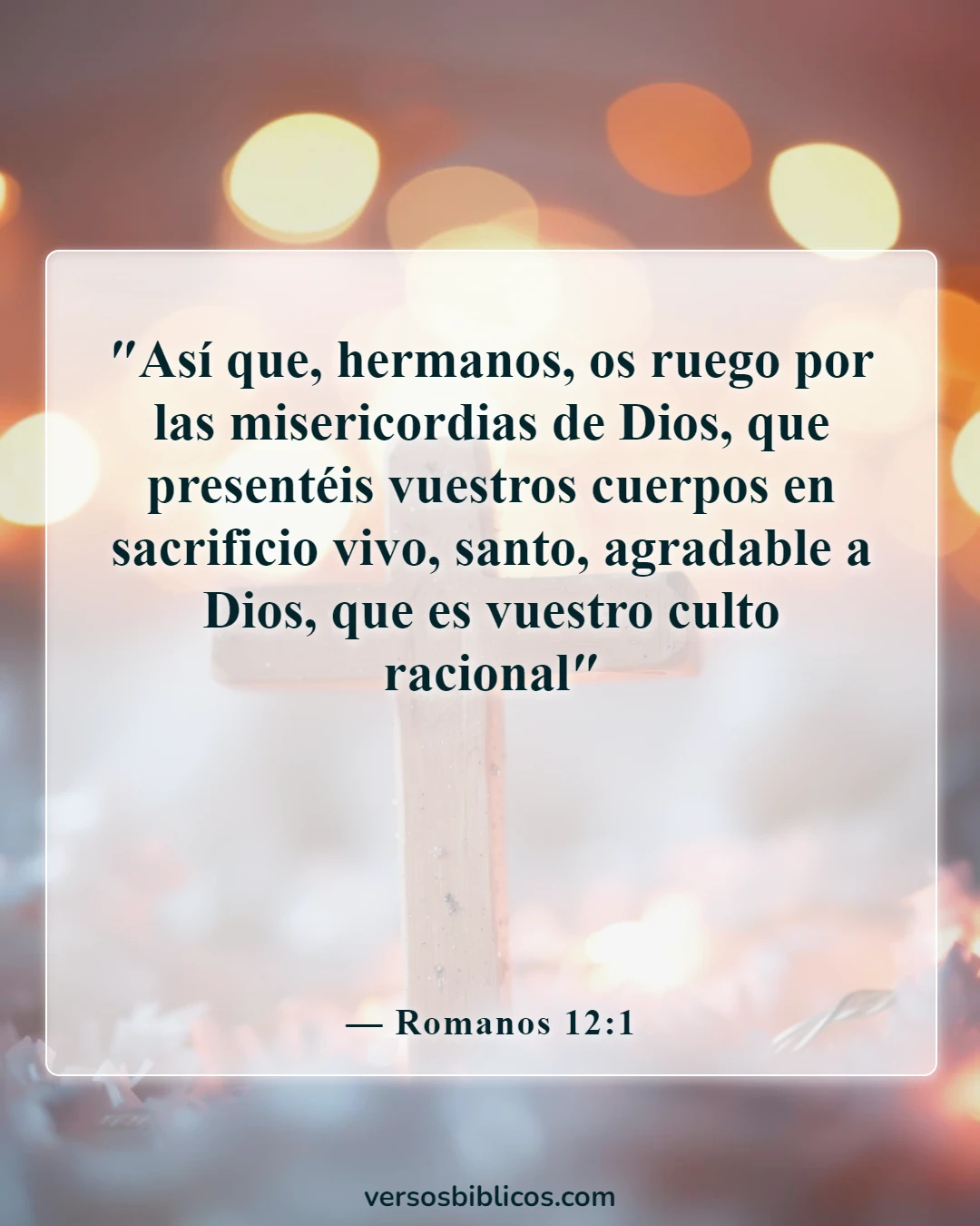 Versículos de la Biblia sobre tu apariencia insegura (Romanos 12:1)