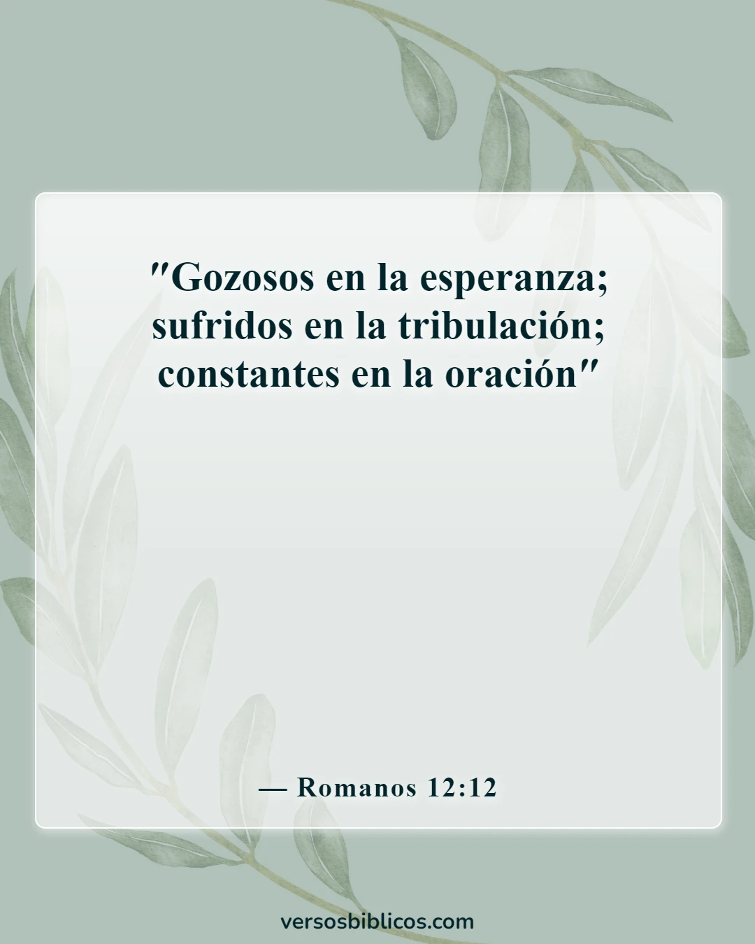 Versículos de la Biblia sobre el autocontrol y la autodisciplina (Romanos 12:12)